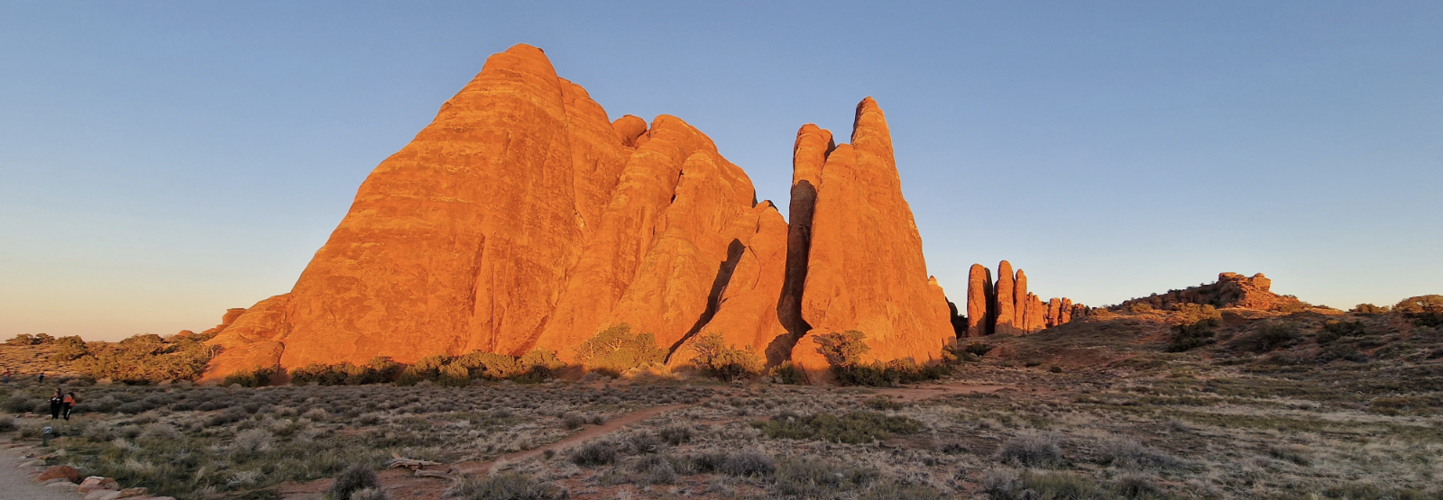 veddis-com-new-banner